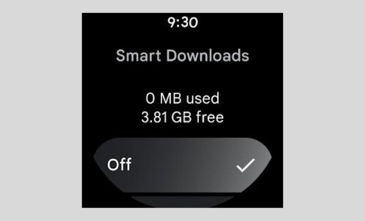 smart download on youtube